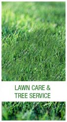 Lawn care and tree service: Year round service is available to help maintain care for your beautiful gardens, lawns, and trees.
